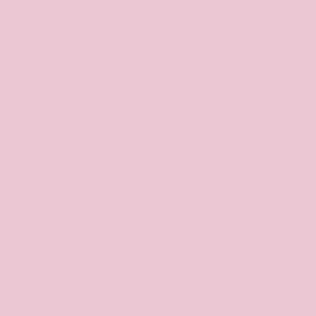 Flesh Pink China Paint