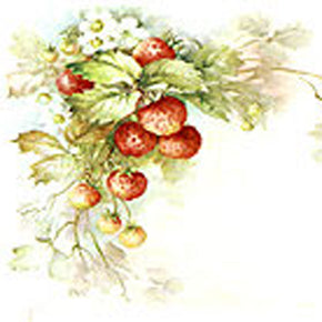 Strawberries by Sonie Ames
