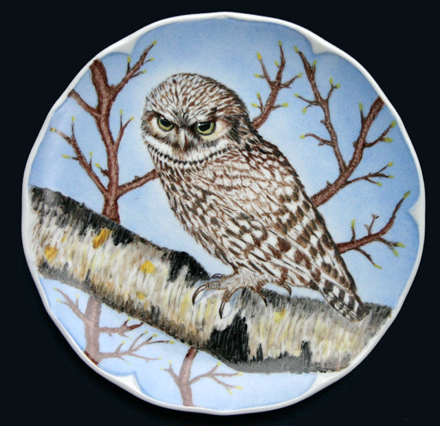 Owl Plate by Judy Schaarschmidt