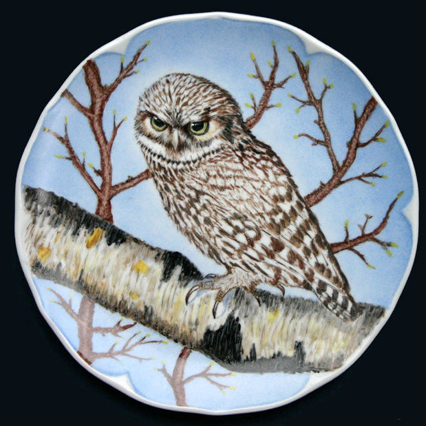 Owl Plate by Judy Schaarschmidt