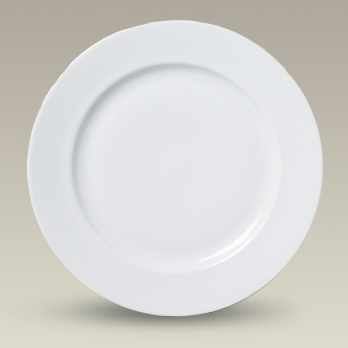 10.5" Rim Shape Plate, SELECTED SECONDS