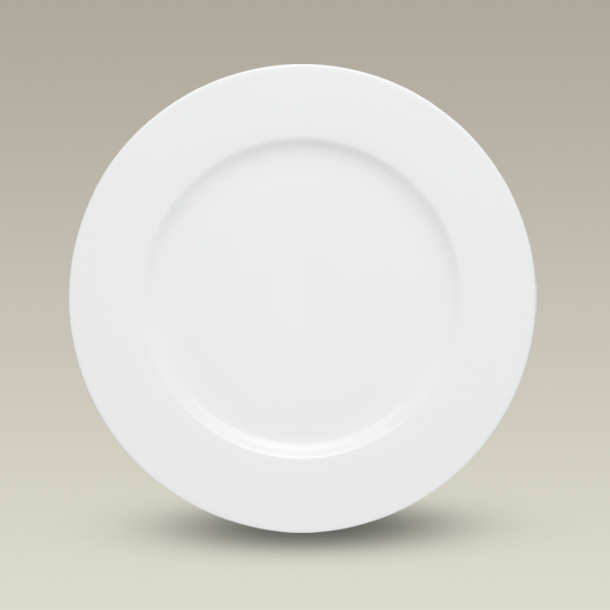 10.5" Rim Shaped Dinner Plate