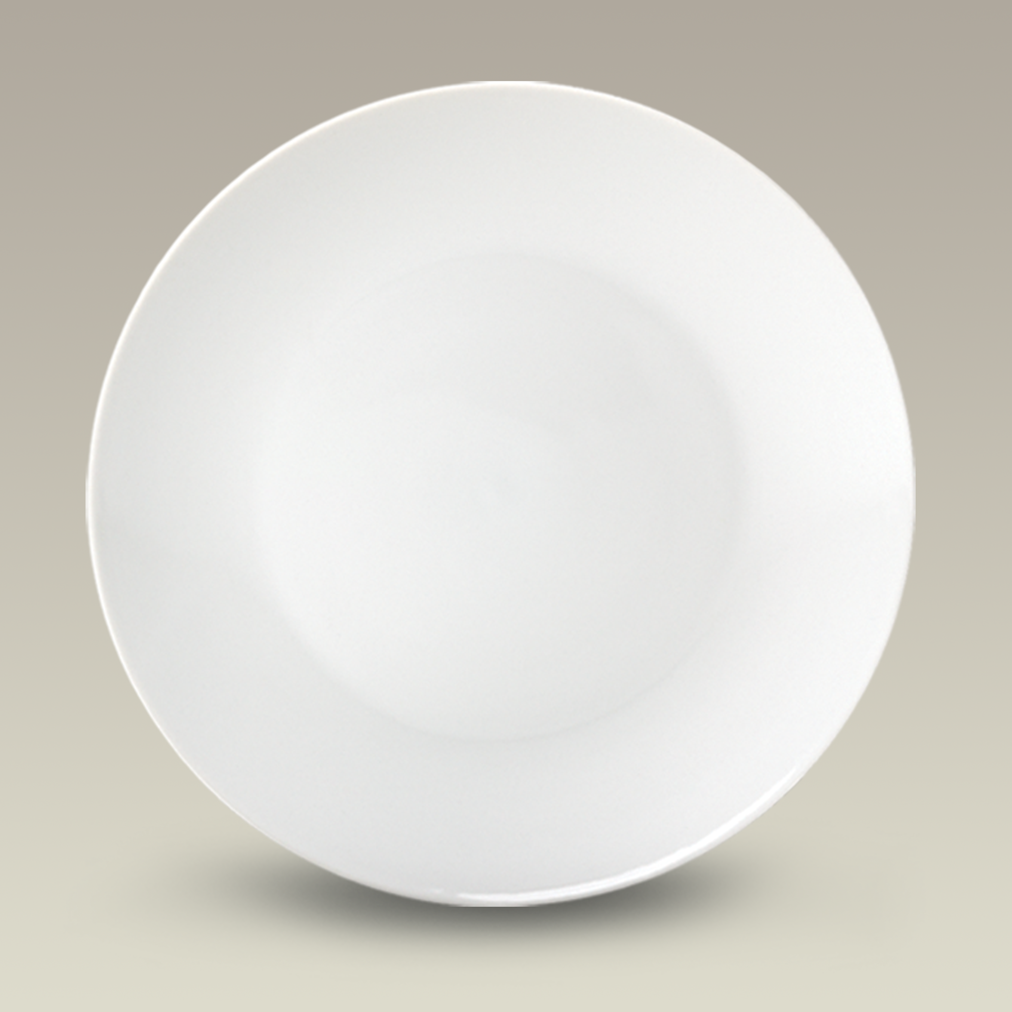 10.75" Porcelain Coupe Dinner Plate