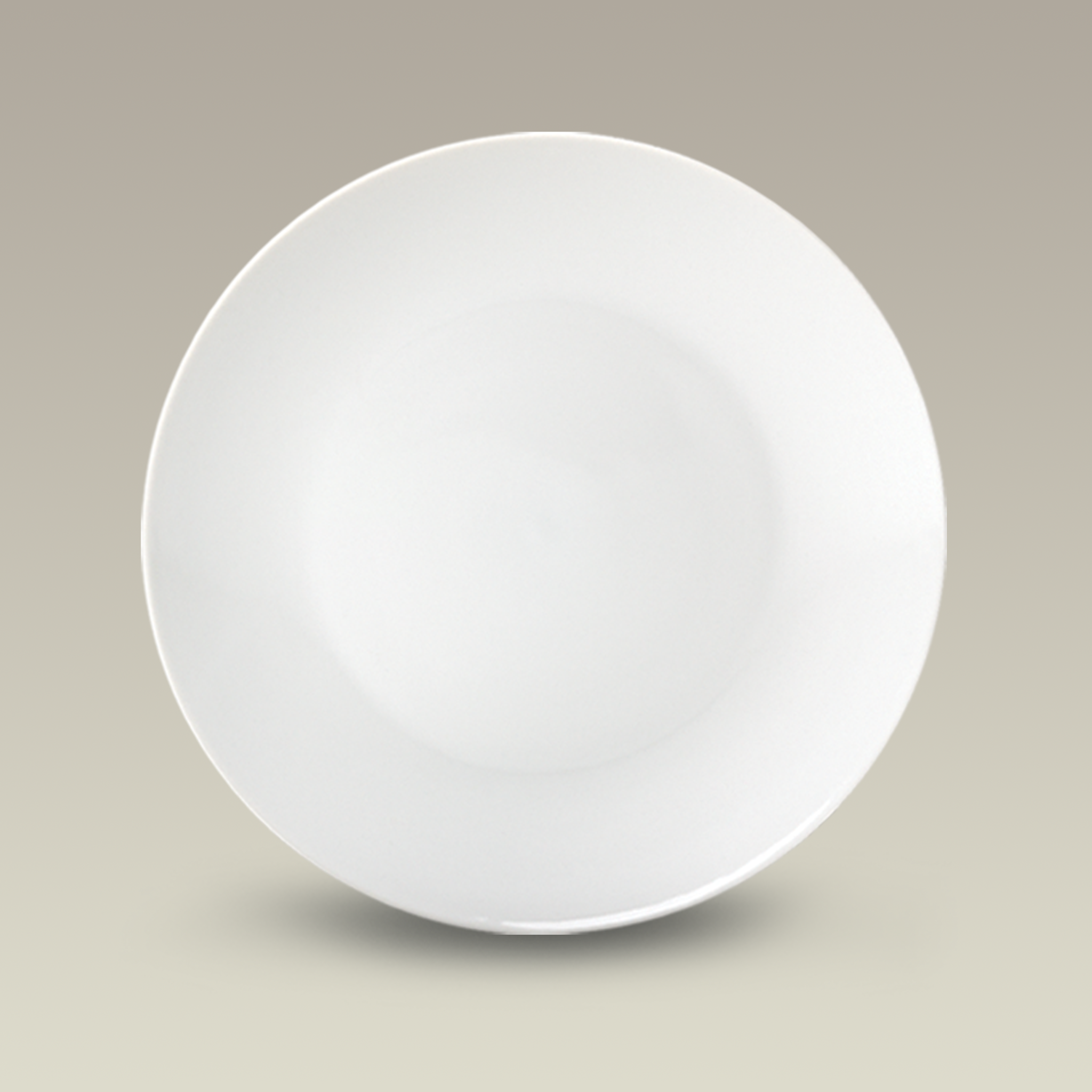 9.375" Porcelain Coupe Luncheon Plate