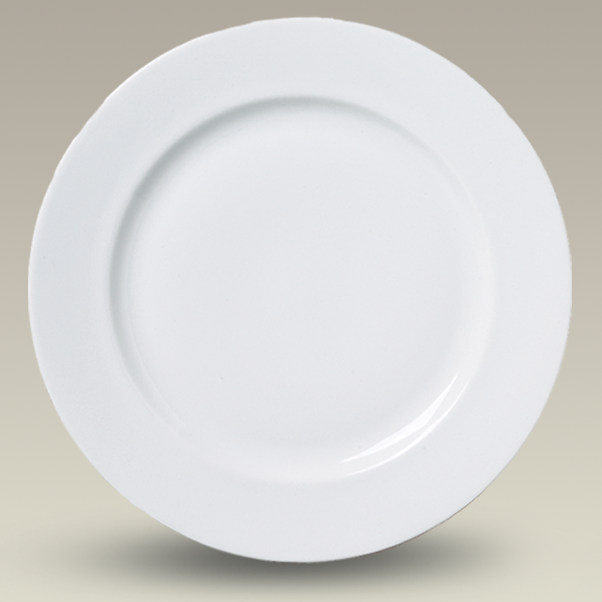 10.25" Rim Shaped Dinner Plate