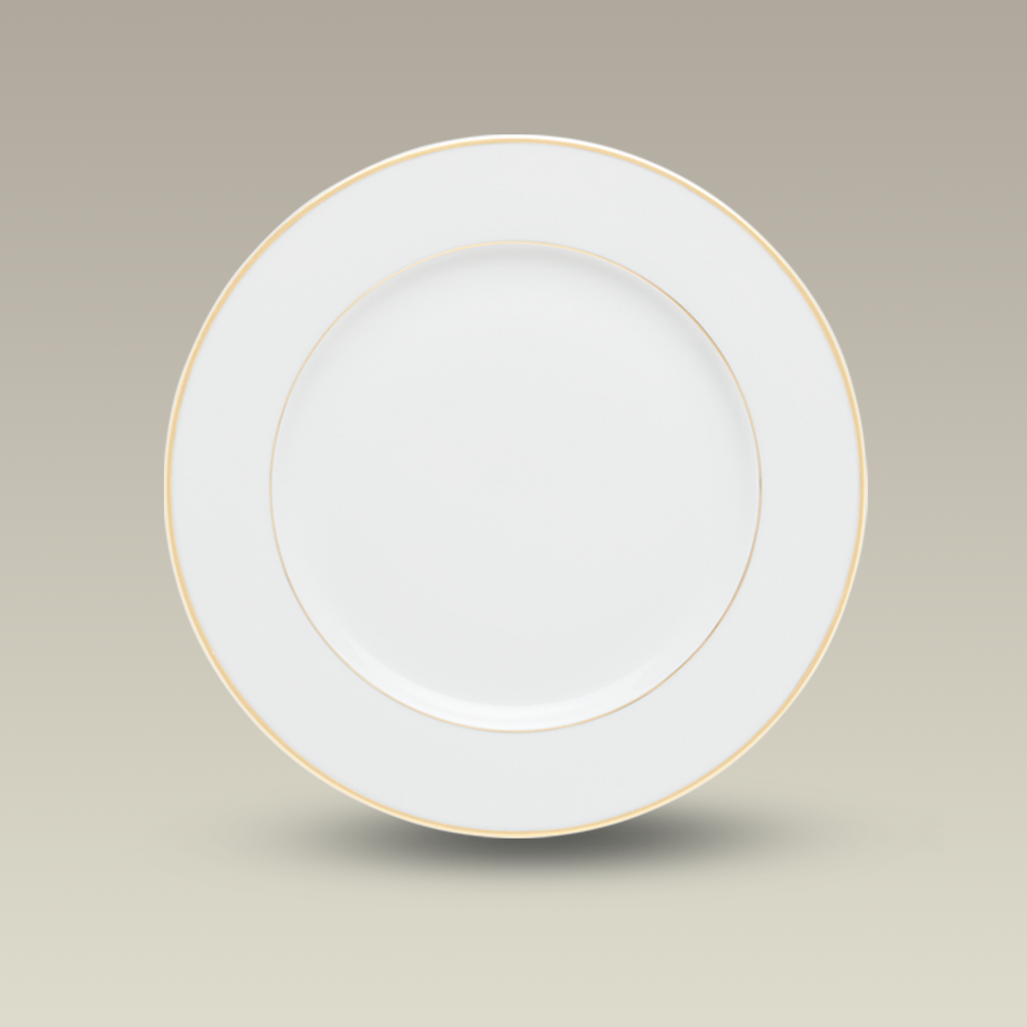 9.75" Double Gold Banded Rim Plate
