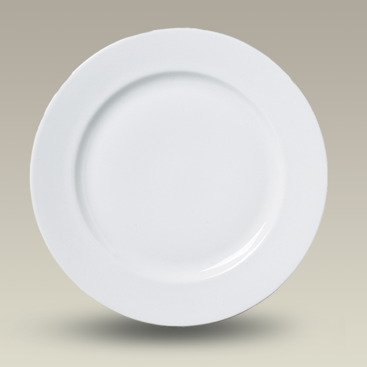 10.25" Rim Shaped Plate w/ Holes for Hanging