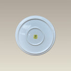 8.5" Round Deep Sides Plate