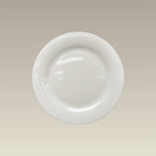 8.25" Ultra White Transition Salad Plate