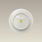 8.25" Ultra White Transition Salad Plate