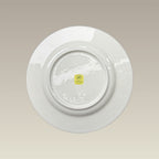 9.38" Warm White Rim Luncheon Plate, SELECTED SECONDS