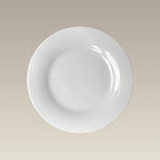 9.3" Warm White Transition Luncheon Plate