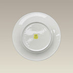 9.3" Warm White Transition Luncheon Plate, SELECTED SECONDS