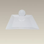 10" Rim Shape Square Plate with Slot (disc not included)