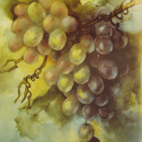 Shaft of Light (Grapes) by Camille Muller