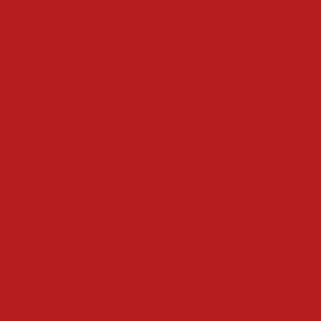 Currant Red China Paint