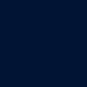 Navy Blue China Paint
