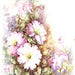 Petunias by Sonie Ames