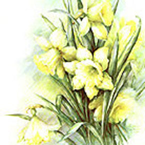 Jonquils by Sonie Ames