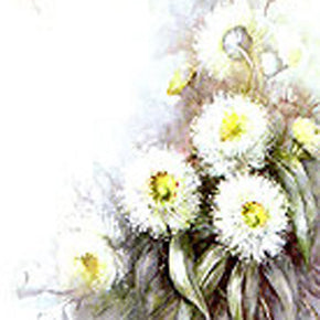 Eucalyptus Blossom by Sonie Ames