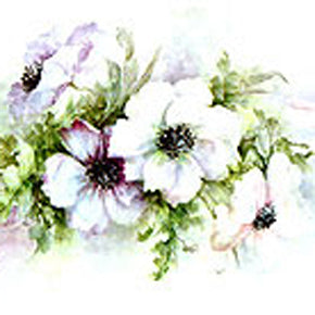 Anemones by Sonie Ames