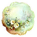 Small White Roses by Sonie Ames