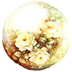 Medium Yellow Rose by Sonie Ames