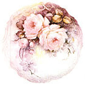 Pale Pink Rose by Sonie Ames
