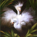Snow Egrets by San Do